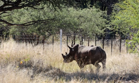 Kusasa settles down in his new home