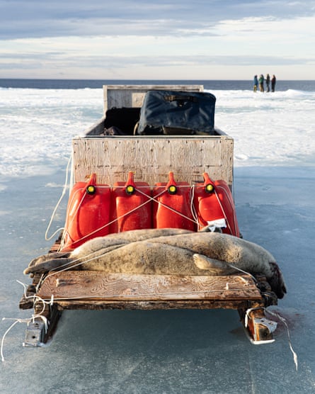 A large wooden sled with four jerrycans and two dead seals. Four people stand in the distance near the water's edge