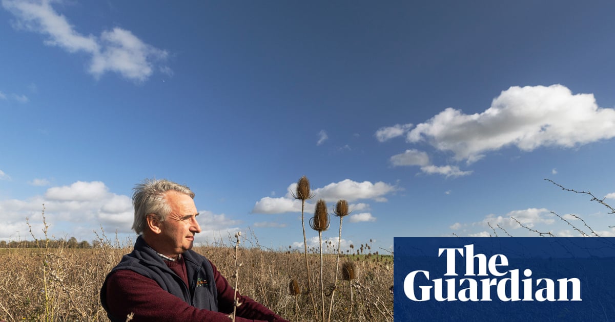 'This is a robust recipe': the experimental farm bucking the decline in UK birds