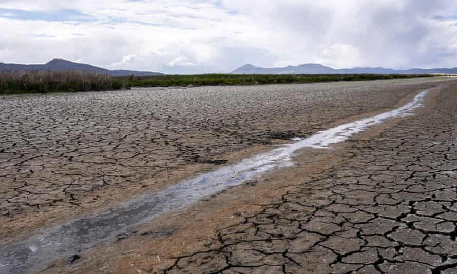 A small stream flows through the cracked dried earth of what used to be a wetland.