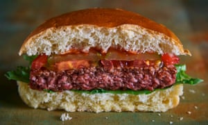 Moving Mountains B12 burger.