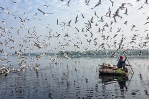 On a makeshift boat, a rower navigates through migratory birds in an early morning frenzy. Widespread poverty has a direct relation with rampant pollution. Several people have made the polluted waters of the Yamuna, the longest and second largest tributary of the Ganges, their home and are dependent on it for their basic needs. Sadly, this has resulted in rapid deterioration of the river and its wetlands.