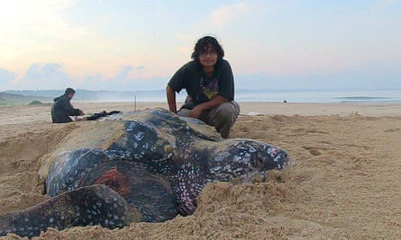 Rita Banerji crouches on a beach next to an olive ridley sea turtle