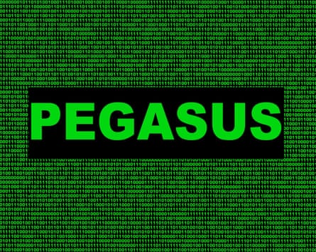 Pegasus in capitals in green against green digital background