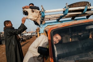 Street photography – third place | Back to Birqashby Jonathan JasbergThree traders unload a camel from their truck in the small town of Birqash, Egypt.