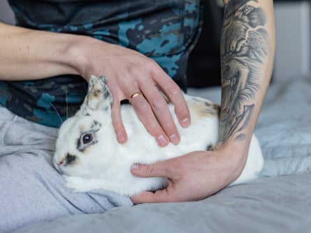 A man’s hands, pinch tattoos connected 1 arm, holding a achromatic rabbit