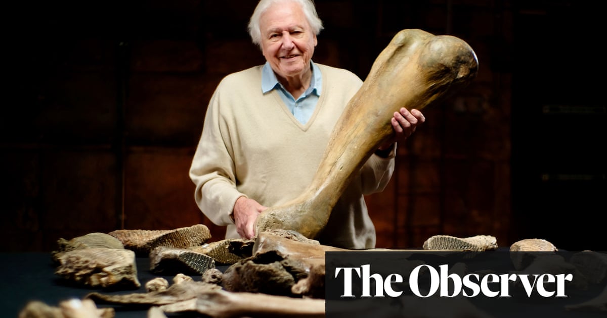 Five ice-age mammoths unearthed in Cotswolds after 220,000 years