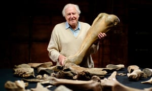Attenborough and the Mammoth Graveyard.