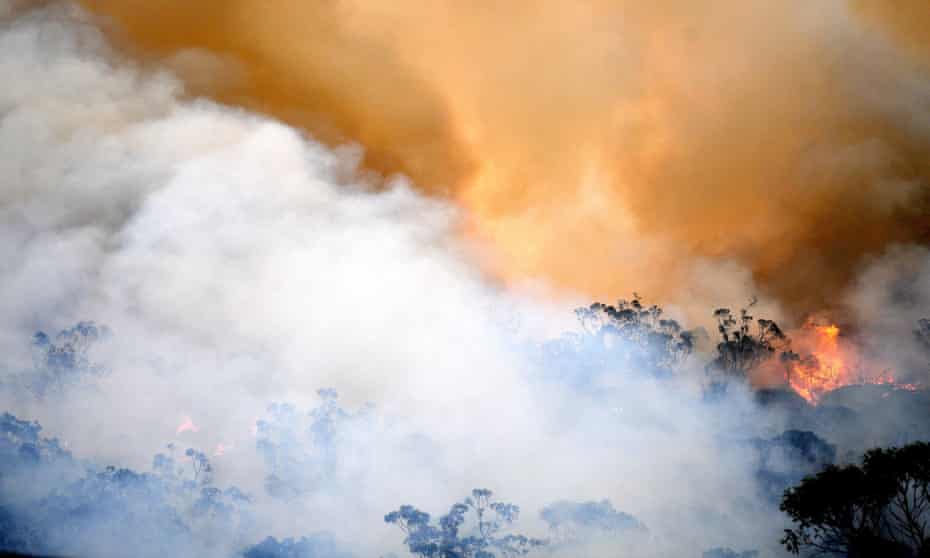 Smoke rises from a bushfire