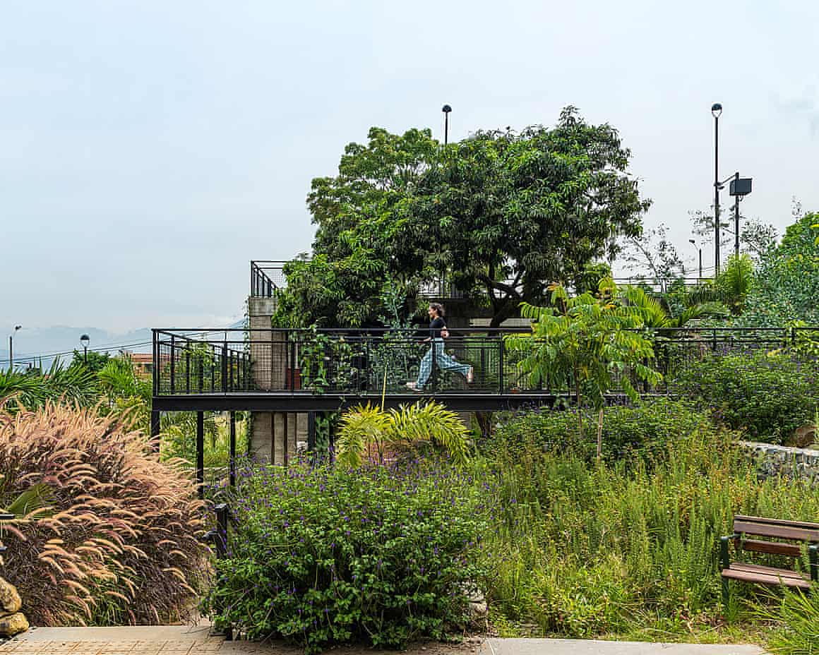 Kids and plants now have free rein.