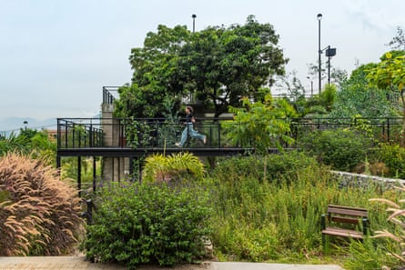 Natural colonisers … kids and plants now have free rein.