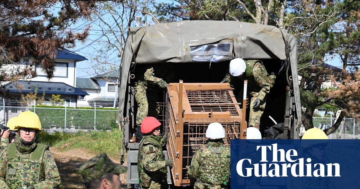 Japan deploys soldiers to contain surge in bear attacks in Akita