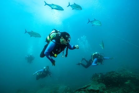 Noel Kok and another diver underwater surrounded by fish