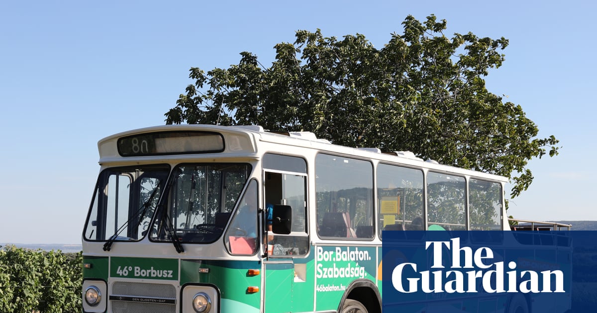 A slow, boozy bus tour of Hungary’s secret vineyards | Travel A slow, boozy bus tour of Hungary’s secret vineyards | Travel