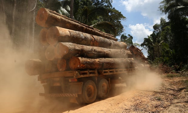 A truck loaded with logs travelling on the BR-319 highway in Amazonas state, Brazil