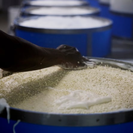 Gruyère cheese making
