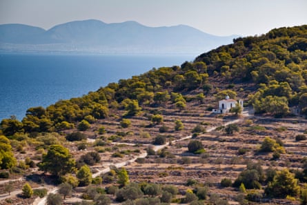 Μια πλαγιά στην Αίγινα