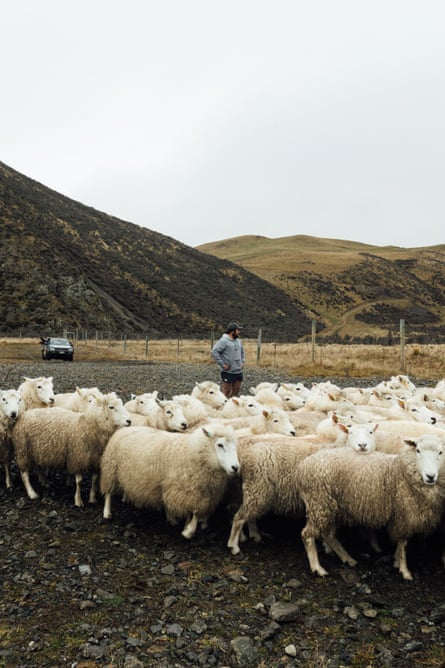 A man wearing grey stands behind a flock of moving sheep as they move to the right of frame, with hills in the background