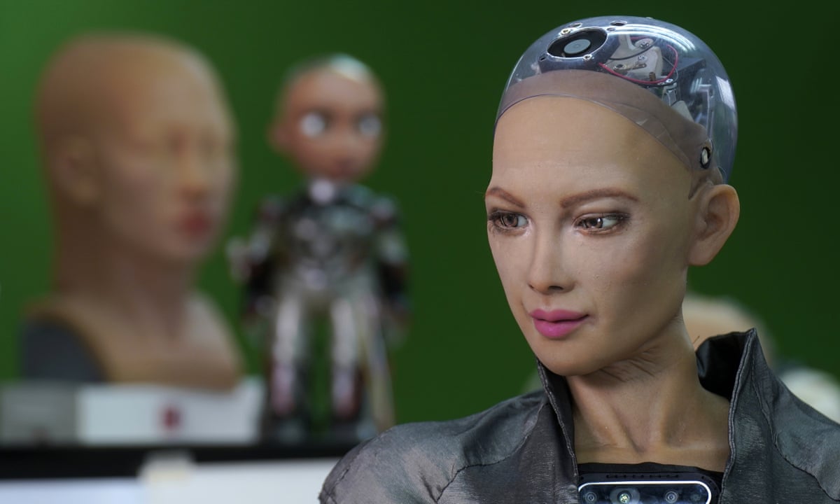 strip Rise crime What could we cancel Sophia the robot for? Oh, where to begin ... | Life and  style | The Guardian