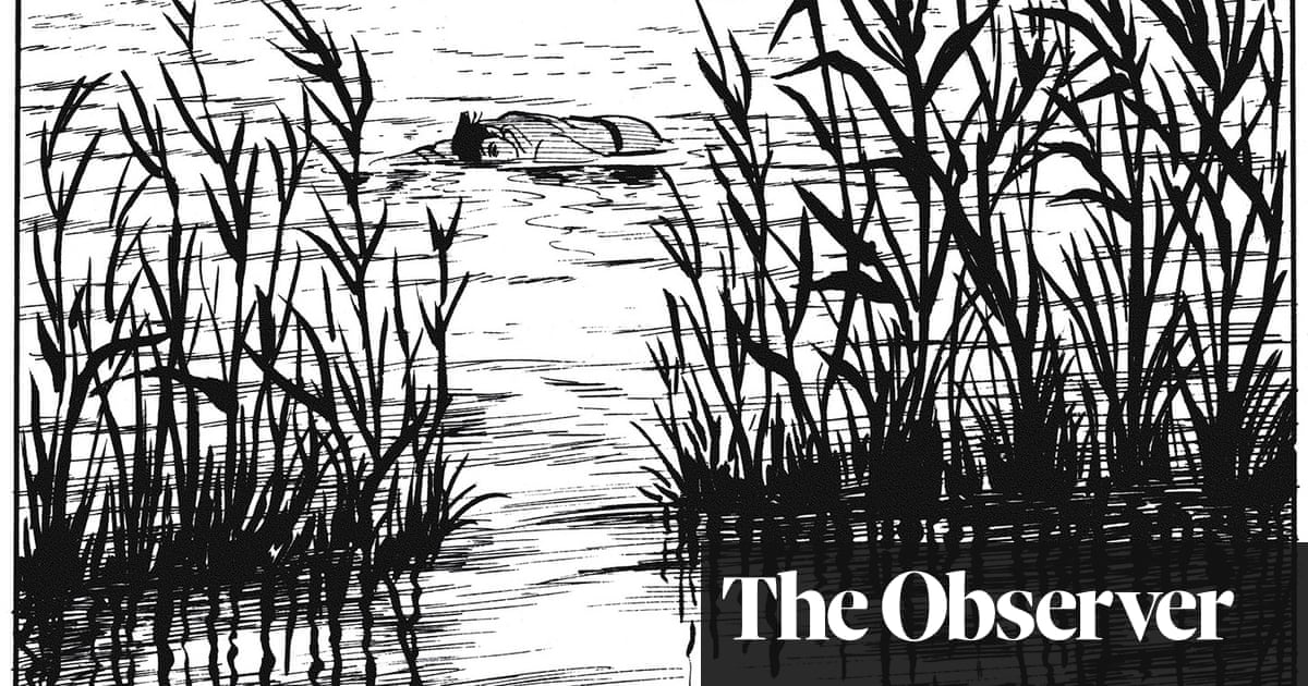 The Swamp by Yoshiharu Tsuge review- powerfully strange