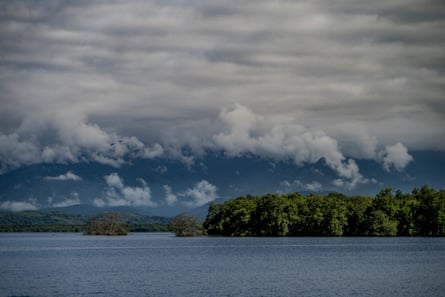 Mangrove forests in Guanabara Bay, Brazil.