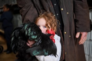 Iola Ray holds her grandfathers prize winning fowl during the poultry judging at the 2022 Young Show. The show had almost collapsed amid covid but returned with a bigger and better than ever event in September.