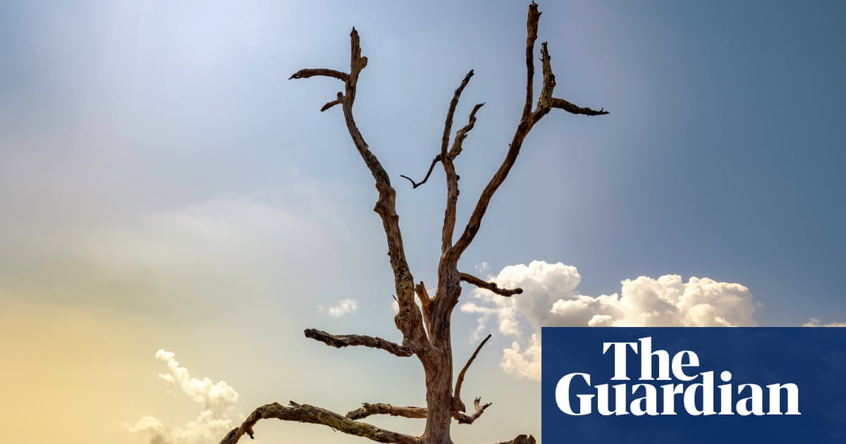 Children of the Wild by Kevin Powers review – gripping tale of a friendship forged in war