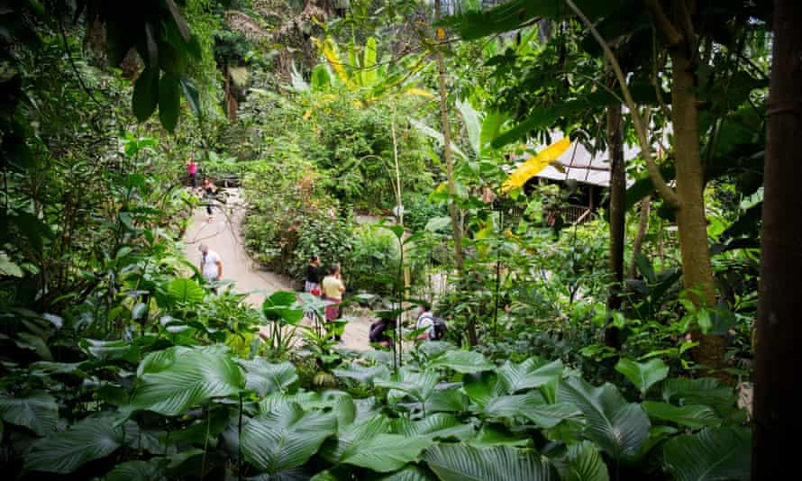 The Rainforest Biome at the Eden Project, Cornwall
