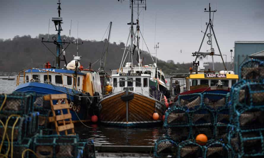 Fishing boats at Tarbert harbour in Scotland