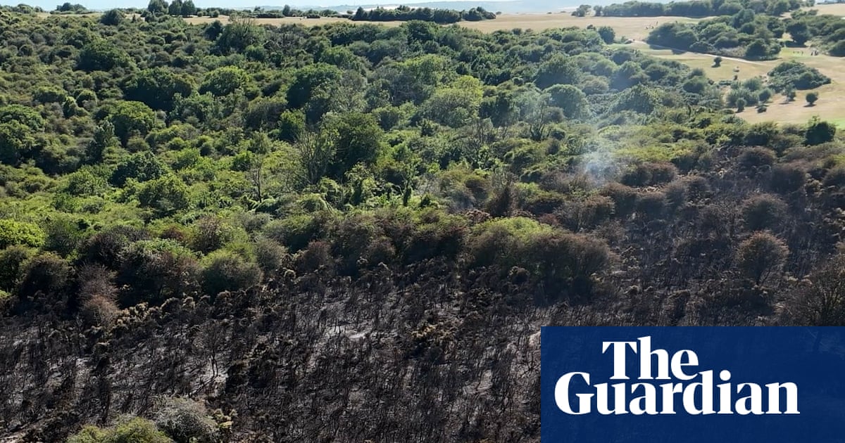 Most UK heatwave coverage failed to mention climate crisis, analysis finds
