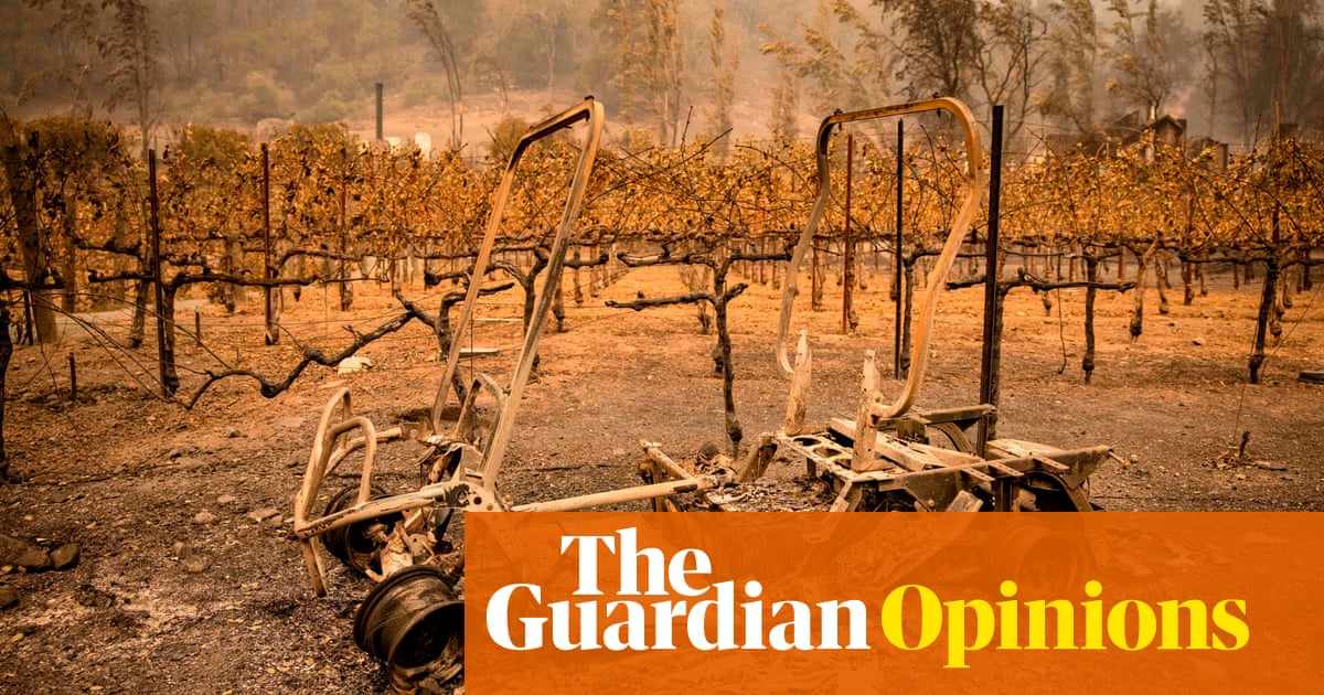 Covid-19 and the climate crisis are part of the same battle - The Guardian