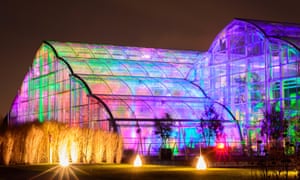 illuminations in the Glasshouse at RHS Garden Wisley CREDIT RHS and Andrew Cochrane