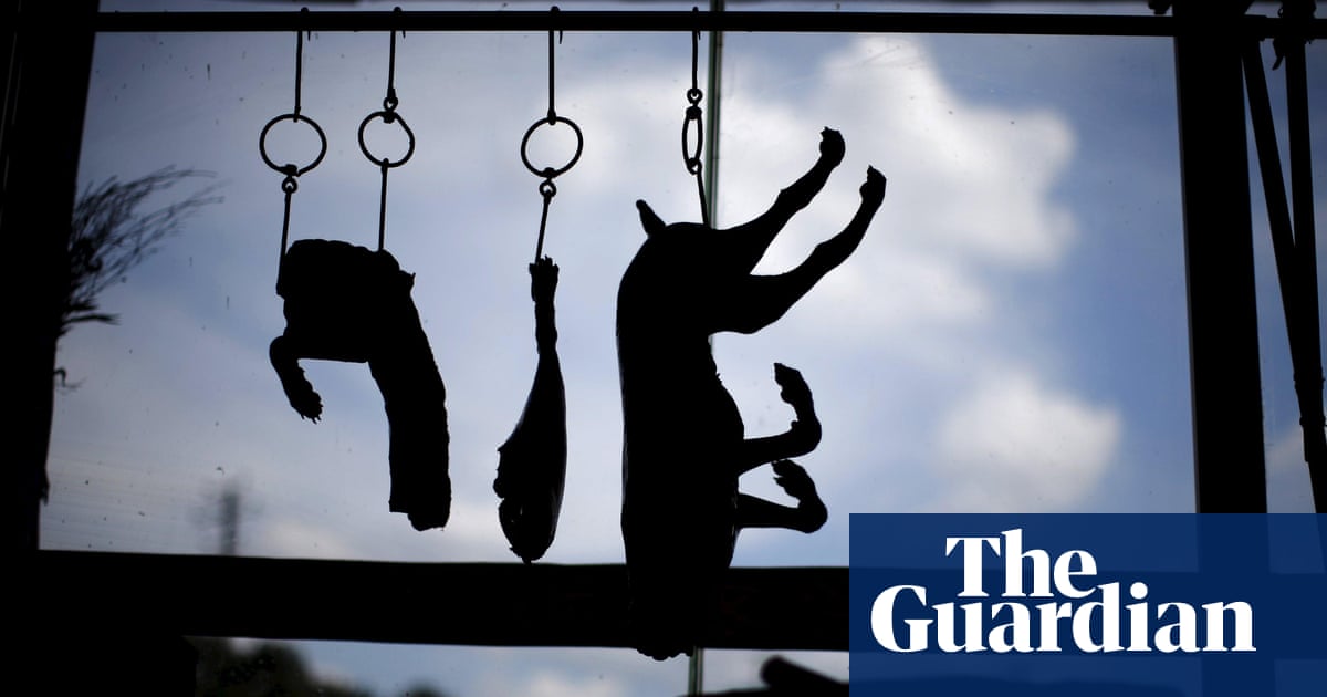 Is Your Leather From China It Might Be Made Of Dog Or Cat Skin Business The Guardian