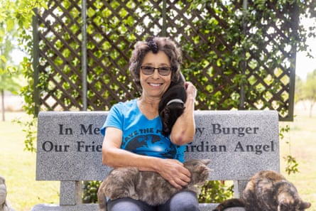 A woman sits on an engraved bench outside with three cats