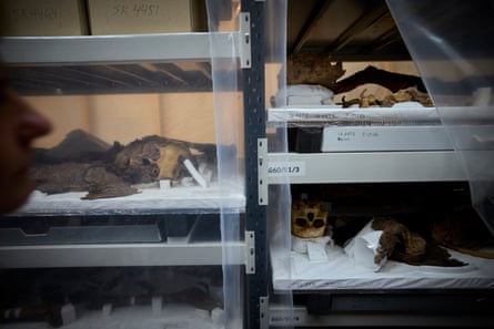 Shelves with see-through curtains have skulls and other human remains laid out.