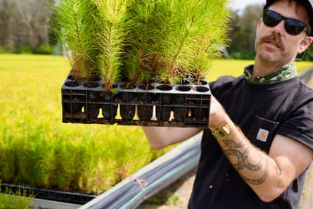 Averill in shades holds up tray of mature seedlings with others behind
