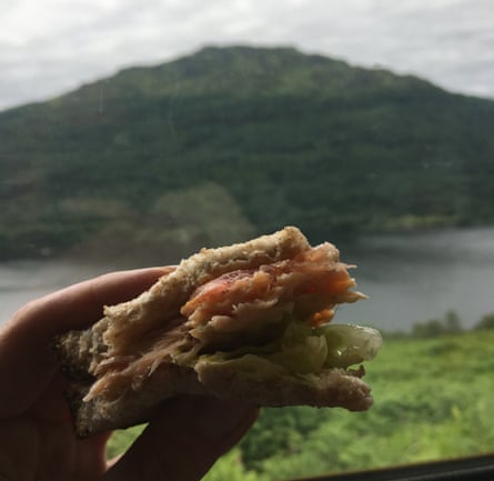 A sliced-fish sandwich held up next to a window showing green hills and water