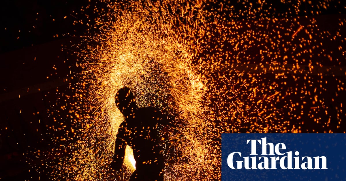 Keralan martial art and a doggie in the hedgerow – readers’ best photographs