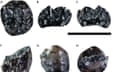 Black fossilised teeth