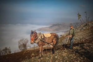 Idlib, SyriaA ๋๋ถ์ ๊ทธ์ ๋ง์ ์๋ฆฌ์ Idlib์ ์๋ Ein Laruz ๋ง์์ ์๊ฐ๋ก ๋ฎ๋ ๋์ ๋ฐญ์ ๊ฐ๊ณ ์์ต๋๋ค.