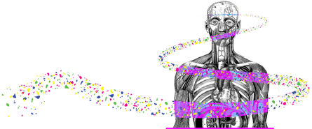 Microplastics in the body