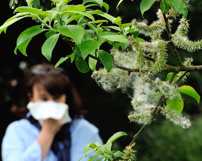 The climate crisis is making our hay fever worse – and affecting our enjoyment of nature