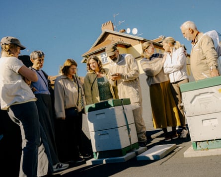 People on the rooftop around the hives on a sunny day