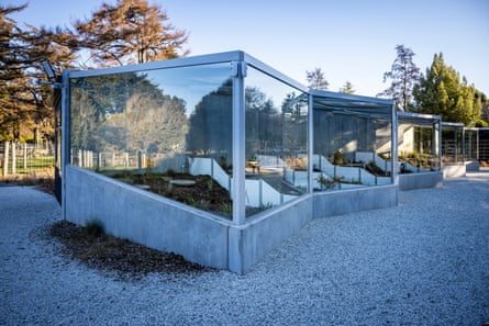 Facility, built by Southland Museum, replicates a natural living environment for tuatara and is the only one of its kind in New Zealand.