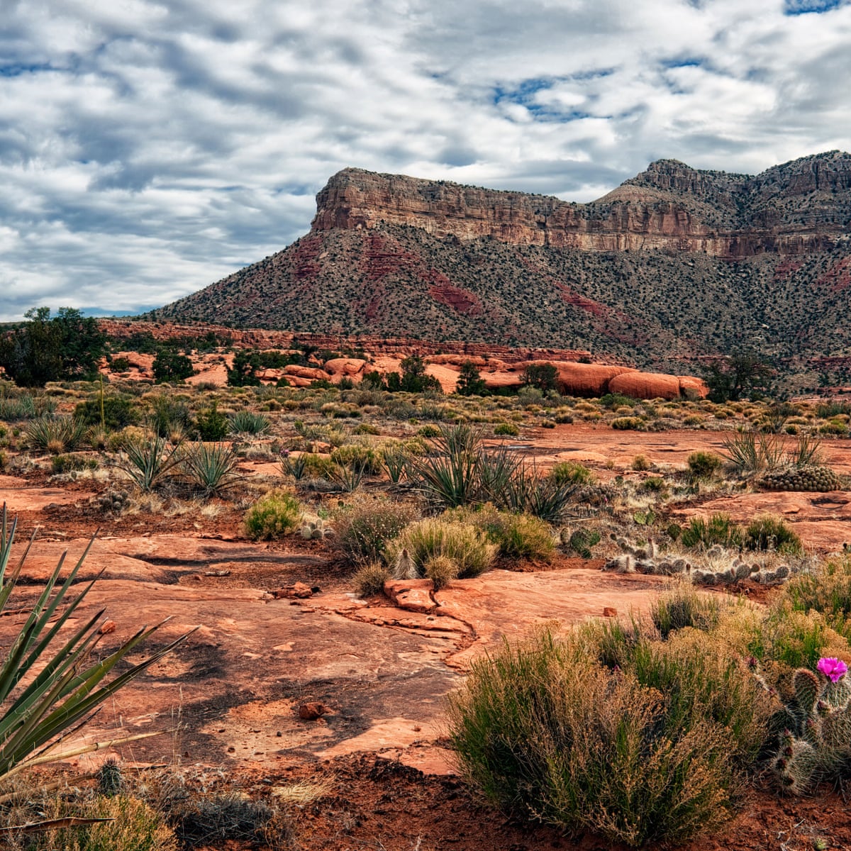 In The Distance By Hernan Diaz Review A Western Unlike Any Other Fiction The Guardian In The Distance By Hernan Diaz Review A Western Unlike Any Other Fiction The Guardian