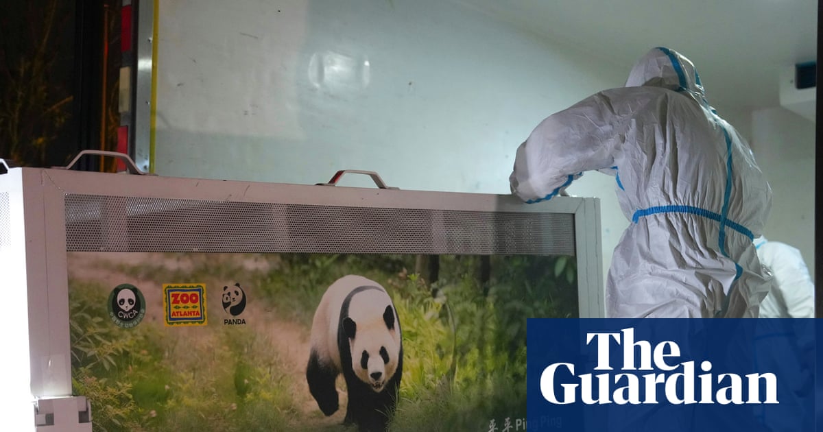 Two giant pandas set off to Atlanta zoo from China after Xi-Trump summit