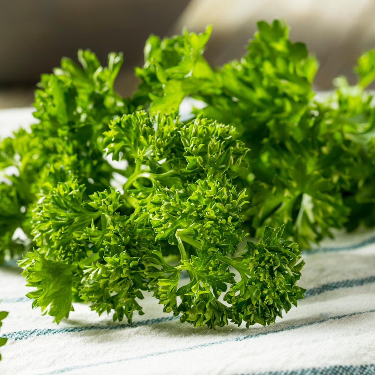 Parsley
