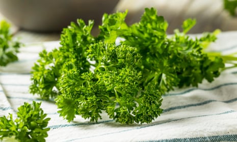 Curly parsley is ‘not a garnish, it’s an ingredient”, says Fergus Henderson.