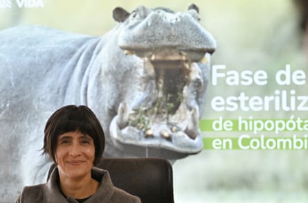A smiling woman sits in front of a picture of a hippo with its mouth open.