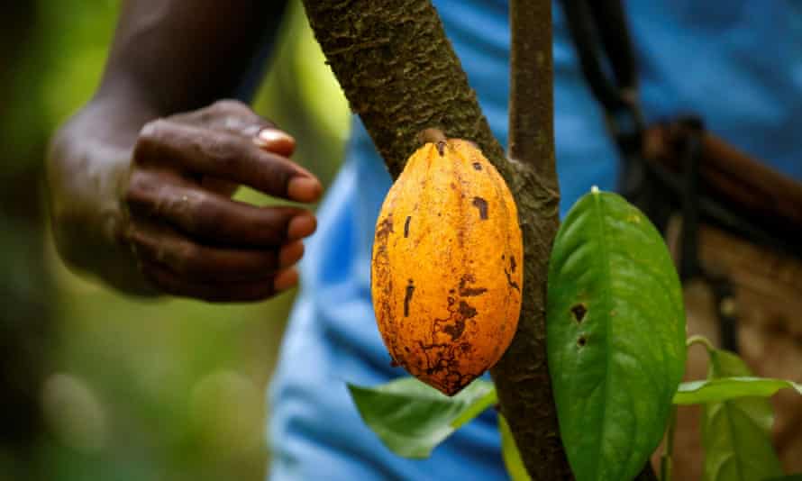 Mars is seeing the impact of climate change across its business – droughts in west Africa, for example, affecting cocoa production.